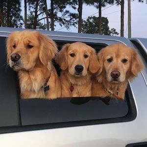 Meet your Posher, Carla